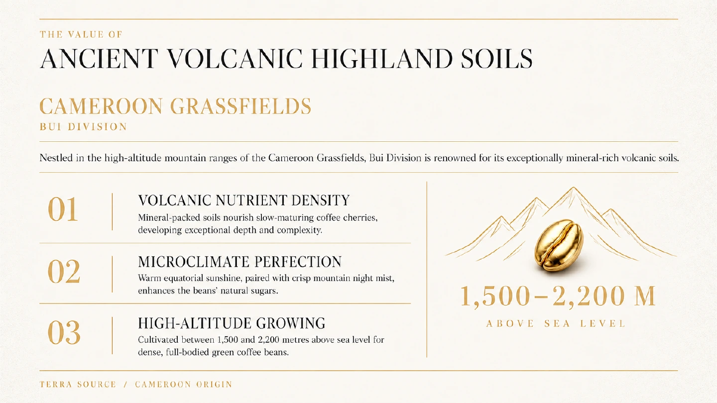 Ancient volcanic highland soils in Cameroon Grassfields
