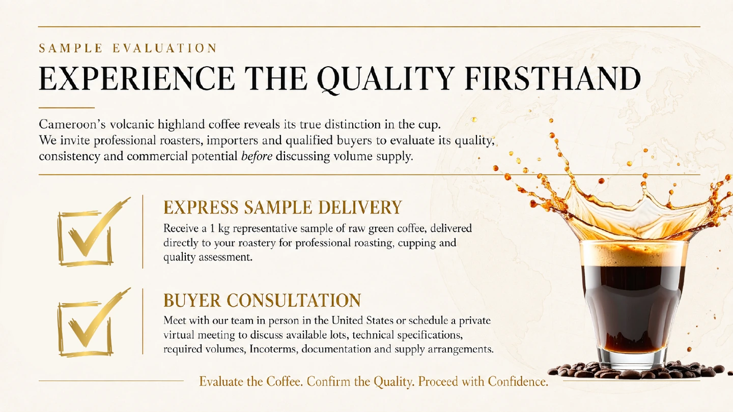 Green coffee sample evaluation and buyer consultation