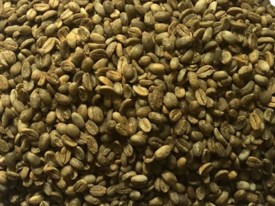 Close-up pile of raw green robusta coffee beans